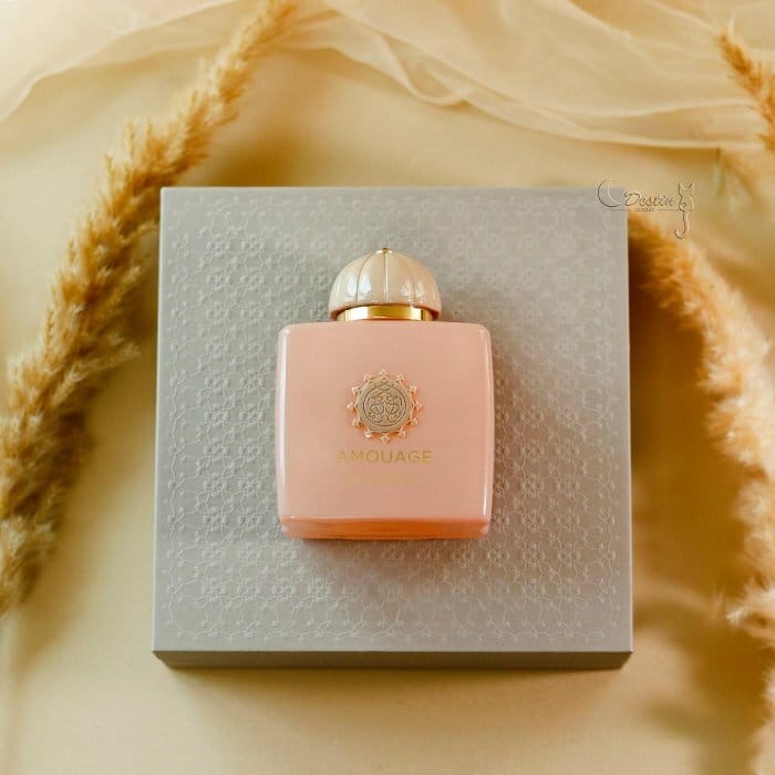 AMOUAGE 愛慕秘藏神諭GUIDANCE 中性淡香精1.5mL 體驗試管可噴式現貨