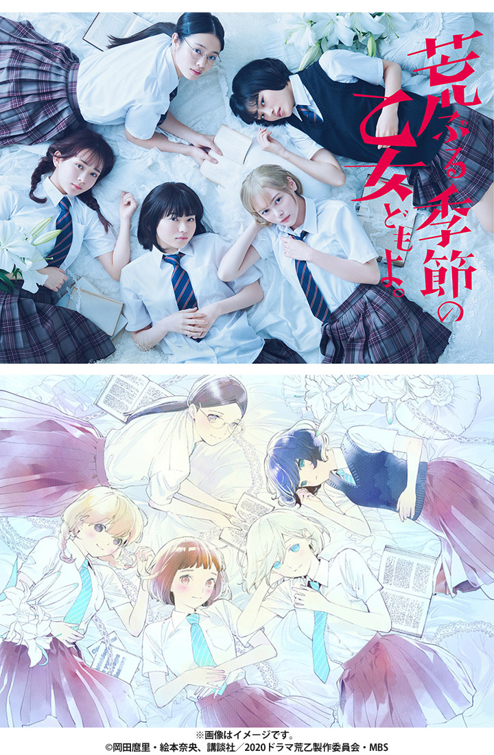 荒ぶる季節の乙女どもよ。／DVD-BOX（送料無料・4枚組） | TBS