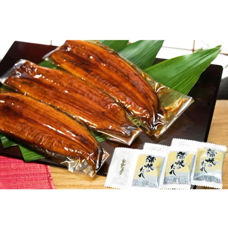 鹿児島県産うなぎ長焼き 特大サイズ／190g×3尾 計570g | TBS