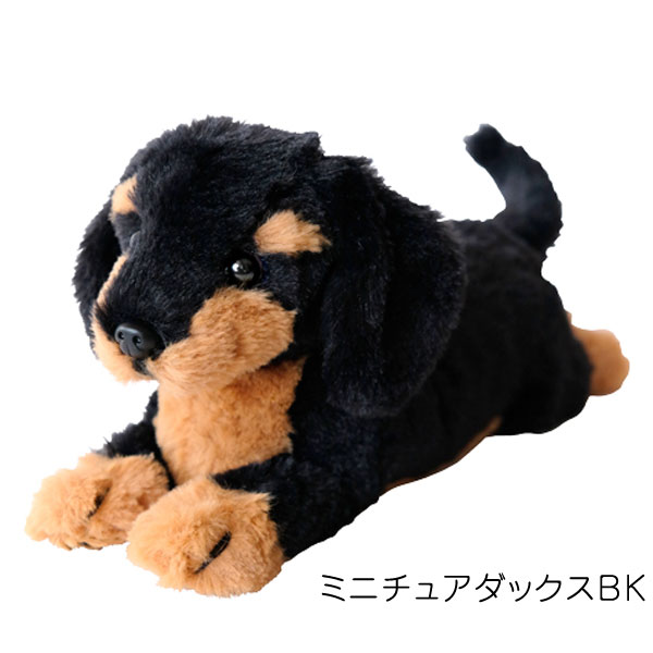 ひざわんこSS ぬいぐるみ いぬ 犬 おもちゃ 癒し リアルイヌグッズ
