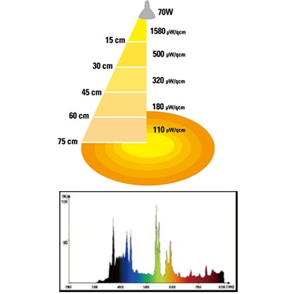 ゼンスイ ソラリウム 70W 専用交換球 [ゼンスイ メタルハライドランプ
