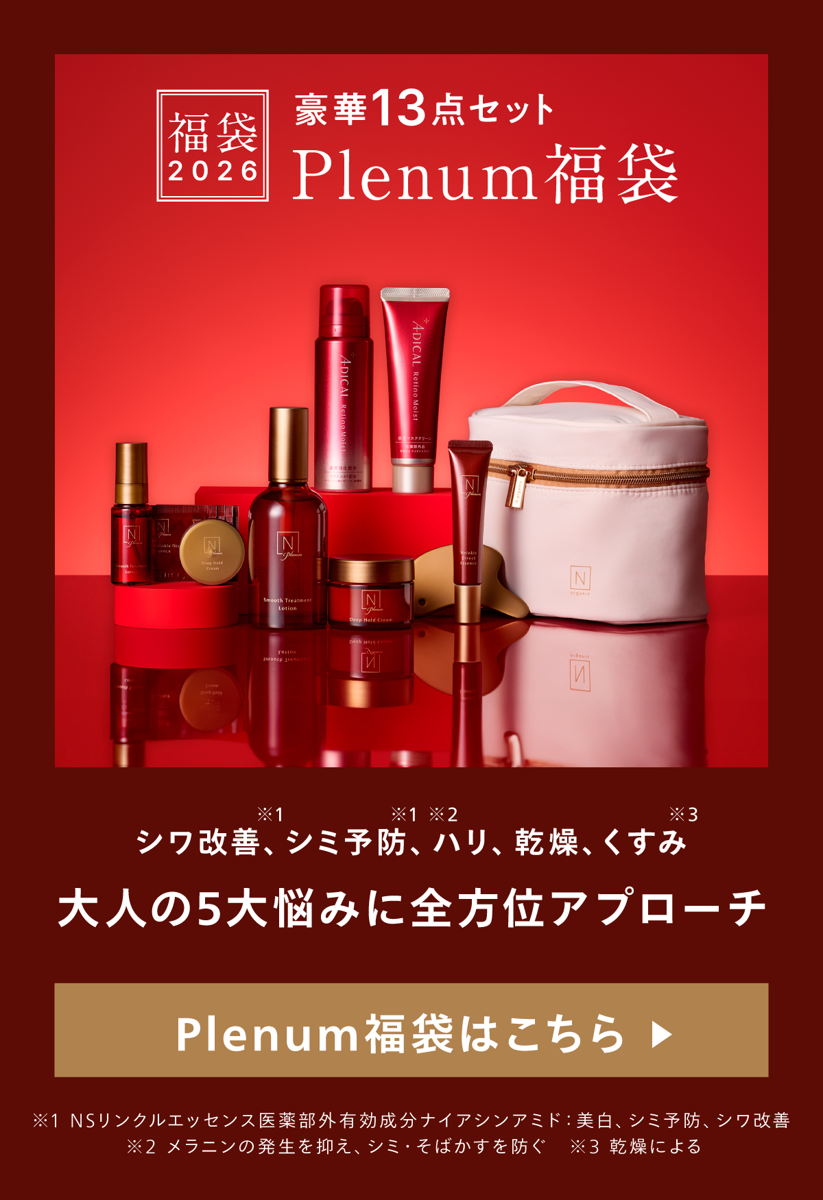 56%OFF】N organic Vie 福袋2026 豪華11点セット 3ヶ月分 数量限定