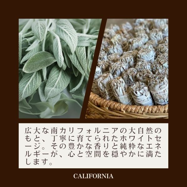 1本 スリムタイプ よく香るホワイトセージ バンドル ワンド