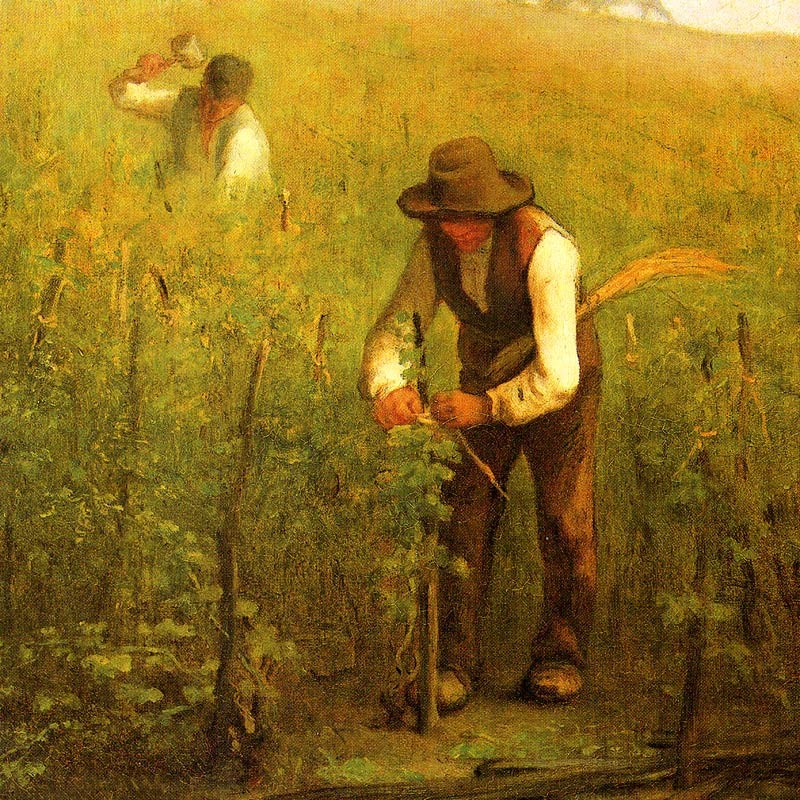 ハンカチ ミレー 全15種 マイクロファイバー製 : orieoriginal - 通販