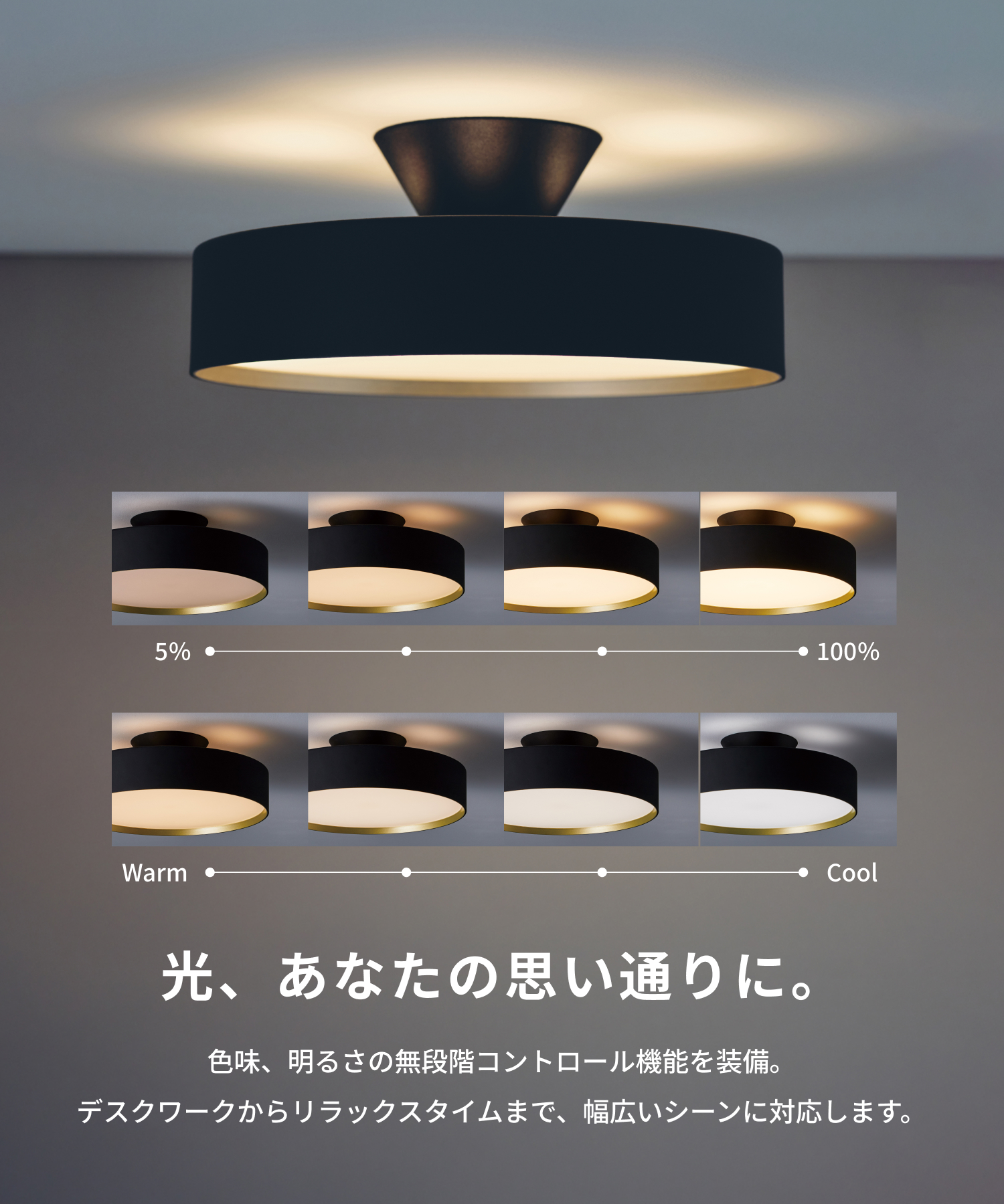 ARTWORKSTUDIO（アートワークスタジオ） シーリングライト 12畳 アート