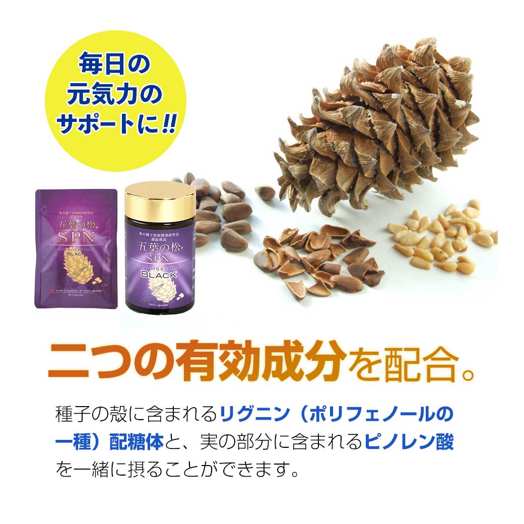 五葉の松SPN ブラック 180粒 五葉松の粒 種子エキス : エイブリー