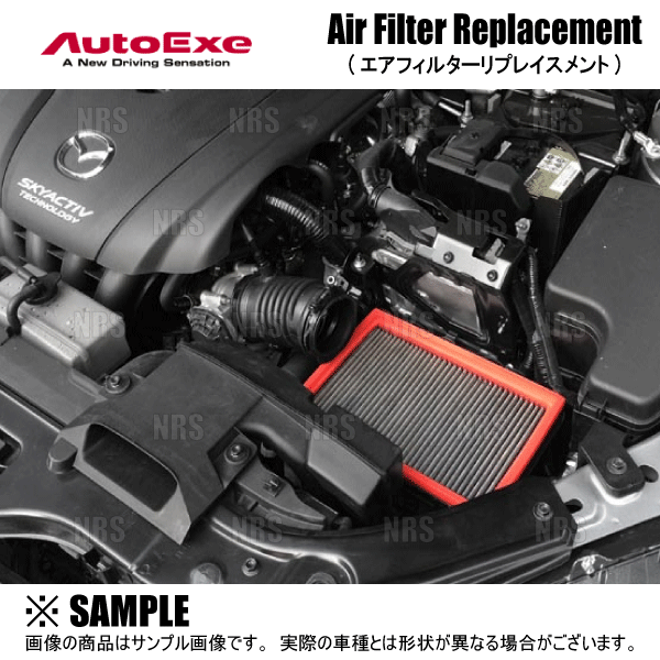 オートエクゼ AutoExe スポーツインダクションボックス (エア