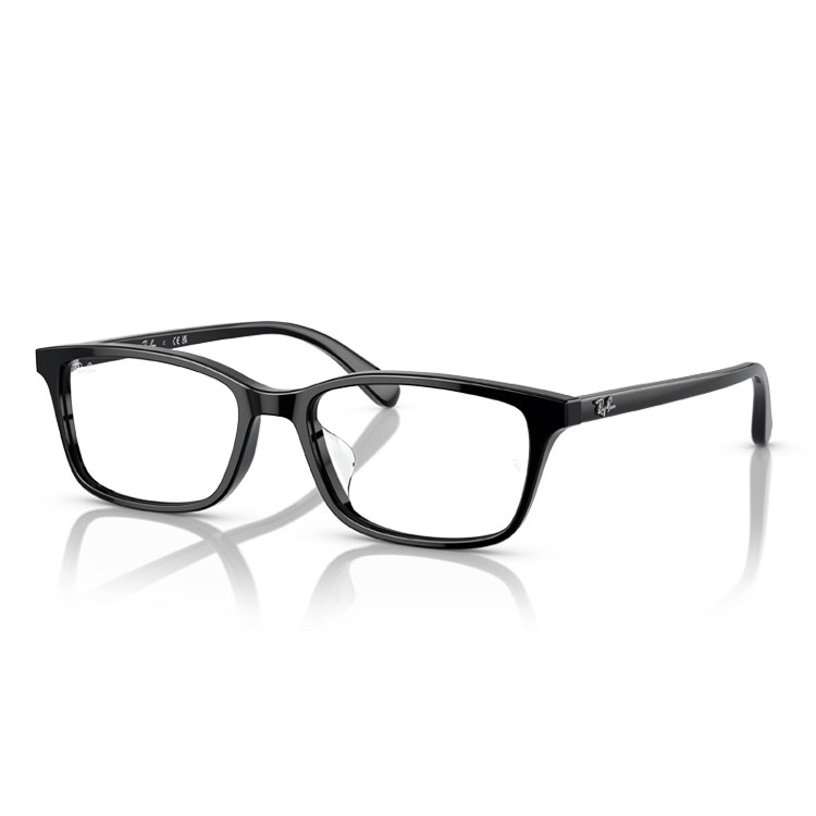 Ray-Ban（レイバン） 決算処分 メガネ RB5416 オプティクス Ray-Ban