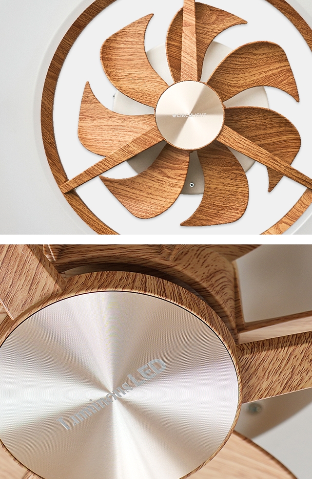 DOSHISHA（ドウシシャ） サーキュライト 選べる豪華特典 シーリング