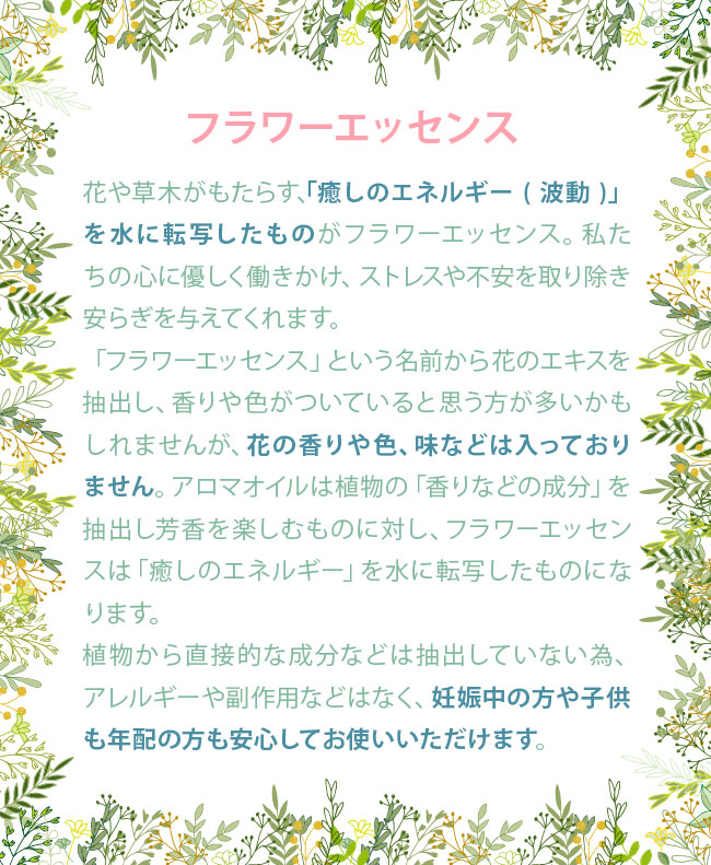 ダグラスファー パワーオブフラワーヒーリング その他シングル