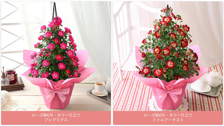 BunBunBee 早割実施中！ 母の日 2026 ギフト バラ 花 プレゼント