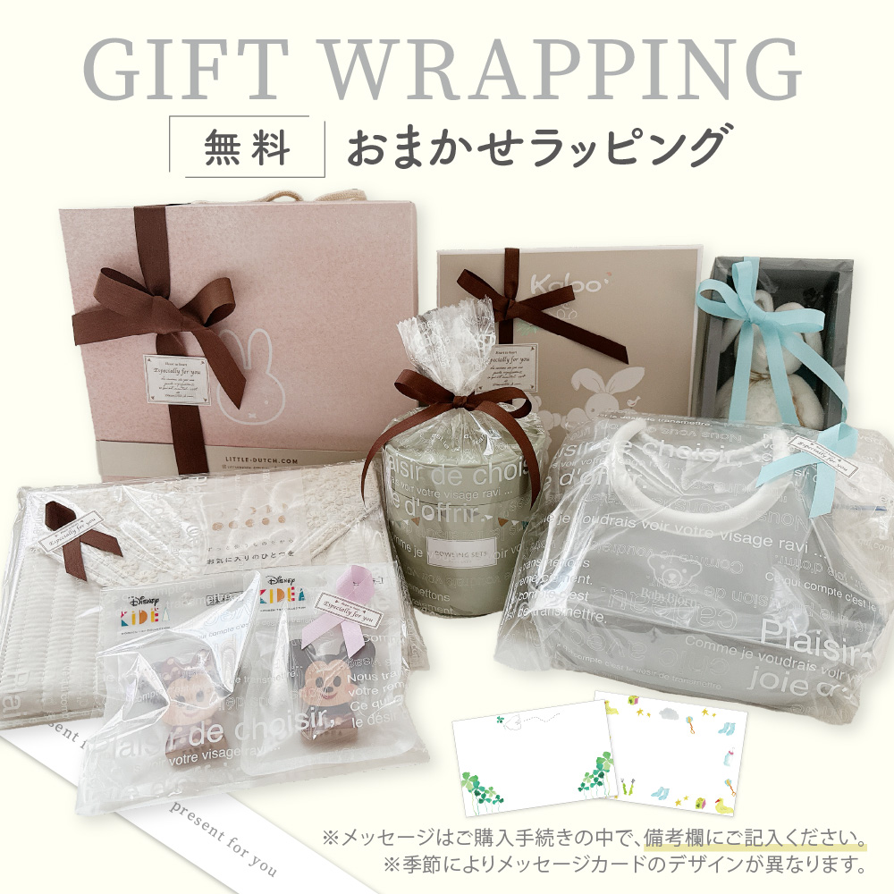 BABYBJORN（ベビービョルン） ベビーキャリアHARMONY用スタイ