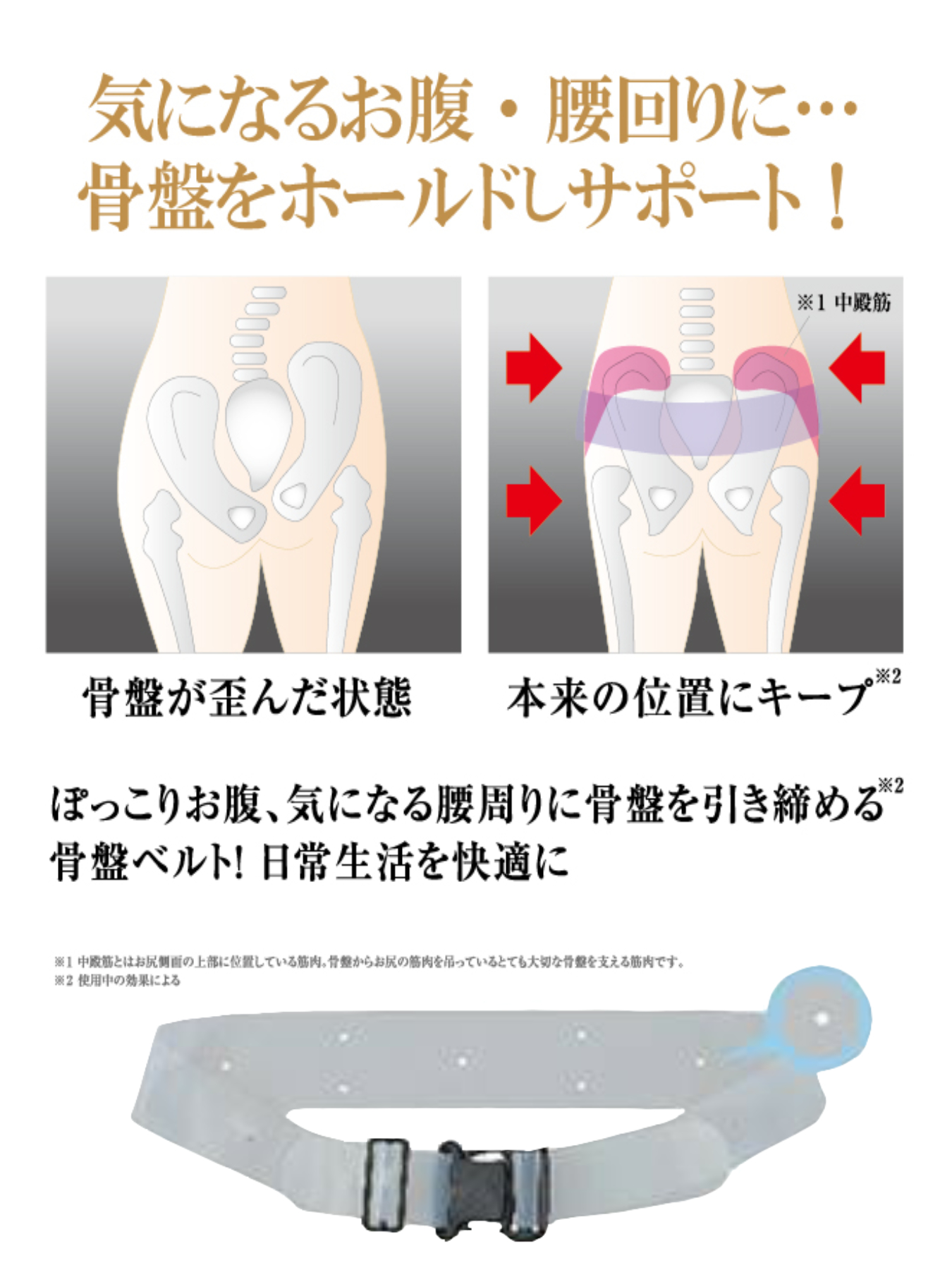 即納】薄型シリコーン製 骨盤ベルト バックル式 男女兼用 M-LLサイズ