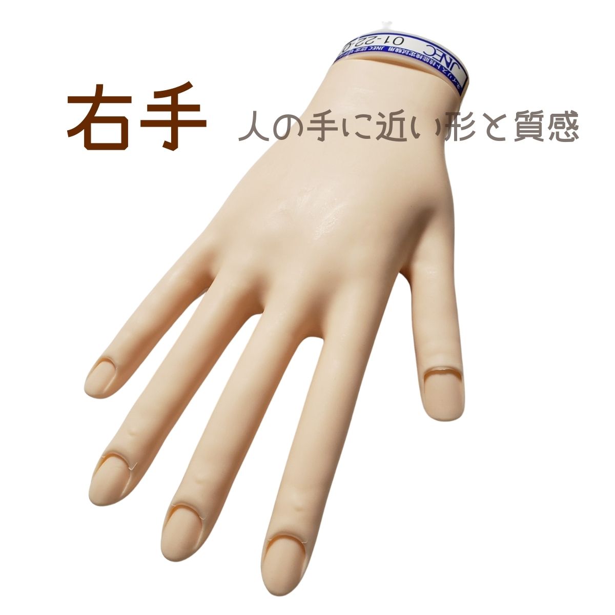 お値下げ中！】認定モデルハンド （骨折なし） 認定モデルハンド(骨折