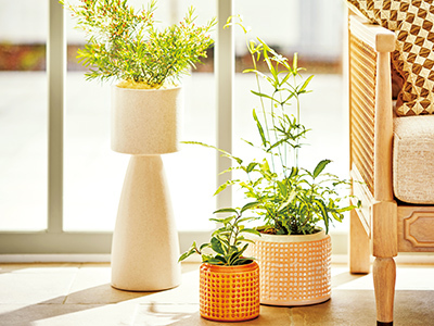 upstairs outdoor living - D&M(ディーアンドエム)｜Yahoo!ショッピング