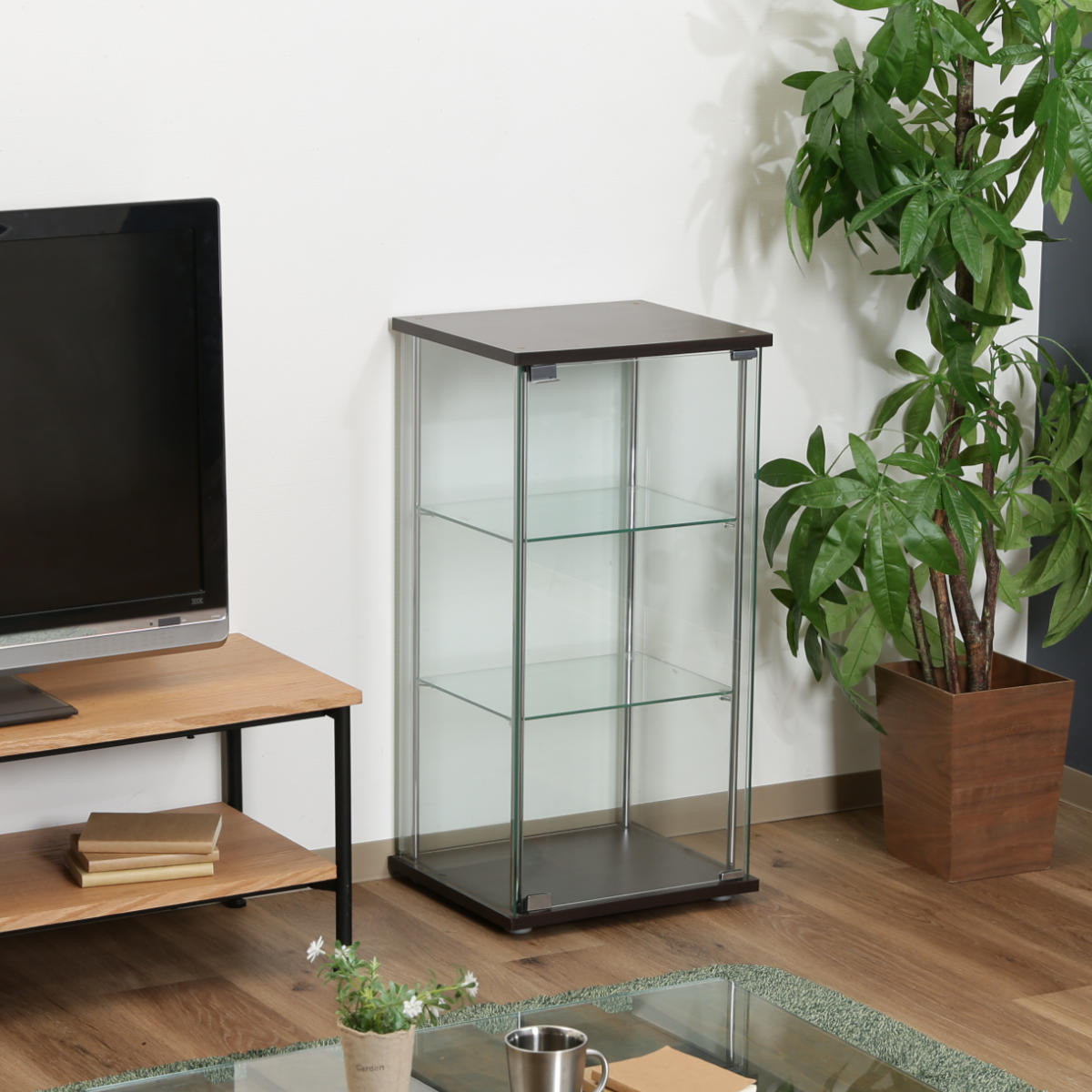 不二貿易（Fuji Boeki） ショーケース 幅42.5cm 3段 コレクション