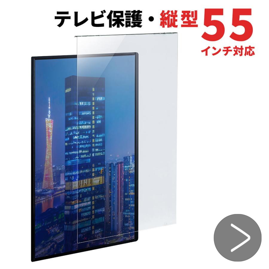 SANWA SUPPLY（サンワサプライ） テレビ保護パネル 65インチ対応 液晶