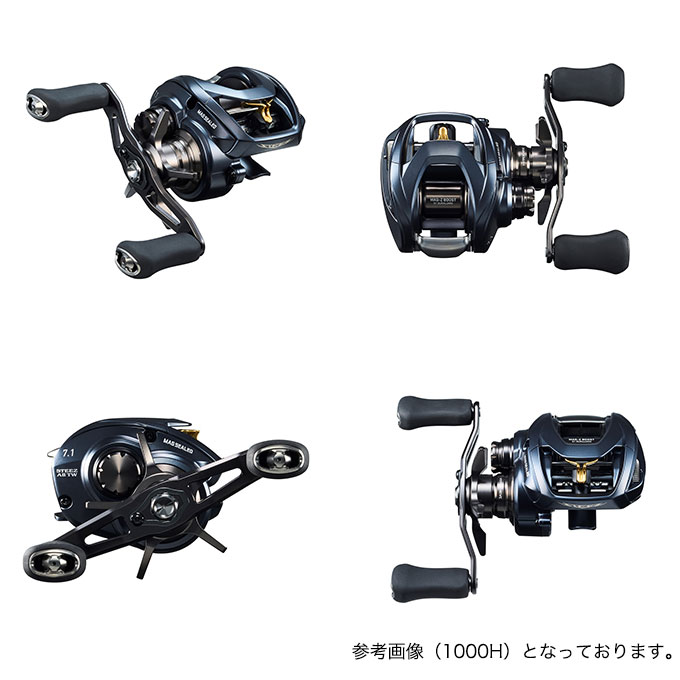 DAIWA（ダイワ） STEEZ (スティーズ) A II TW 1000 (右ハンドル) 2023