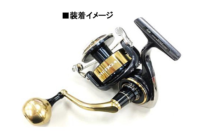 DAIWA（ダイワ） 【取り寄せ商品】ダイワ SLP WORKS 20 ソルティガ