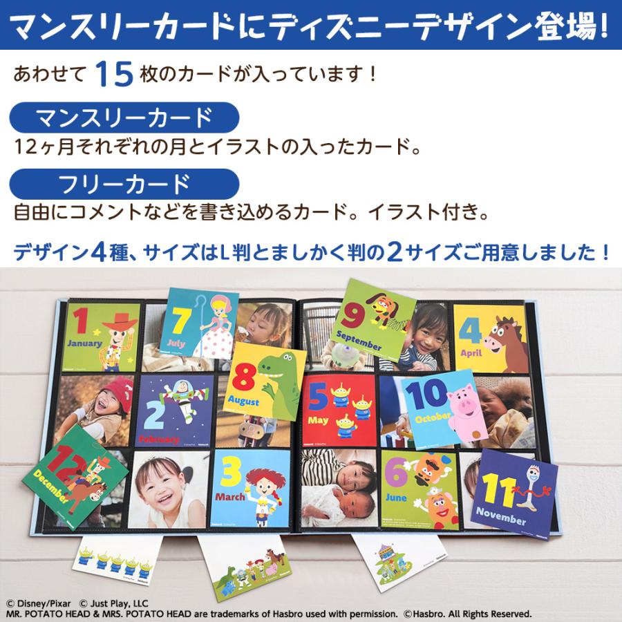 ナカバヤシ 【WEB限定品】アルバム ディズニー マンスリー デザイン