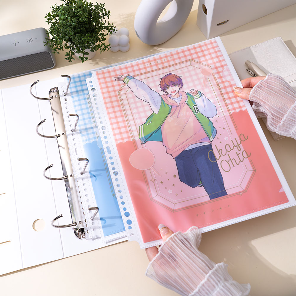 ナカバヤシ 【irelu】クリアファイル収納 [イレールバインダーリフィル