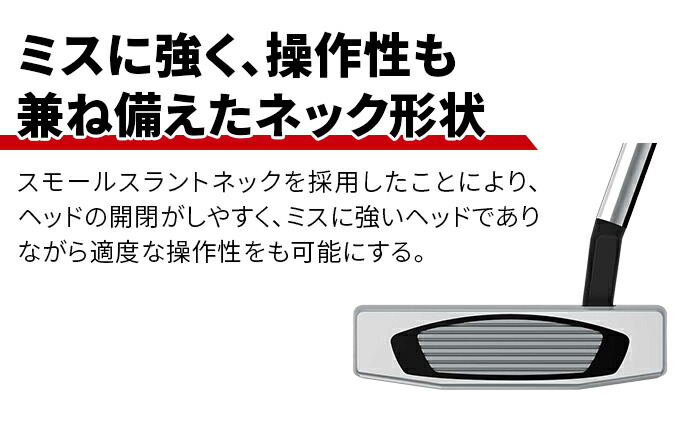 TaylorMade（テーラーメイド） ゴルフ パター Spider GT NOTCHBACK