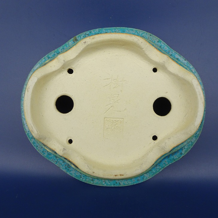 盆栽鉢 常滑 樹晃 鴻陽陶園 小型 長辺 約17cm 木瓜鉢 外縁 釉薬 現品