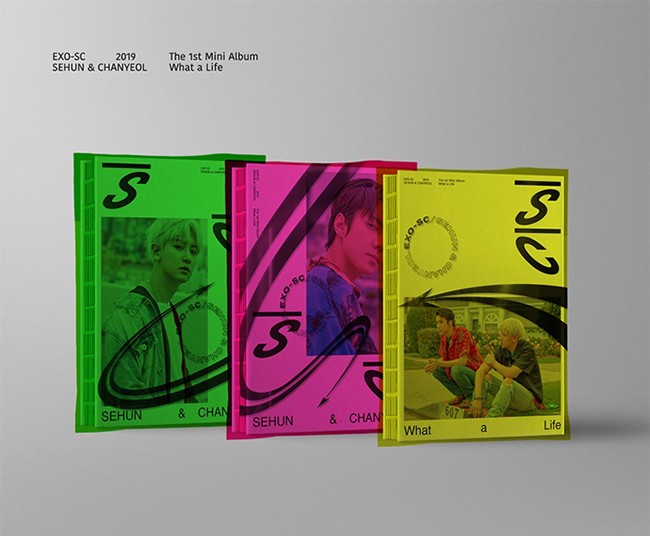 ☆初回特典☆ EXO-SC セフン＆チャニョル (EXO) ミニ1集 アルバム What