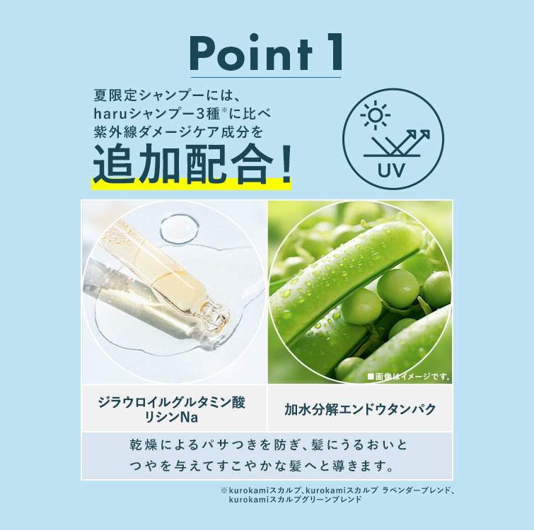 haru（ハル） 期間限定 再登場 【haru 公式】ハル｜ haruシャンプー