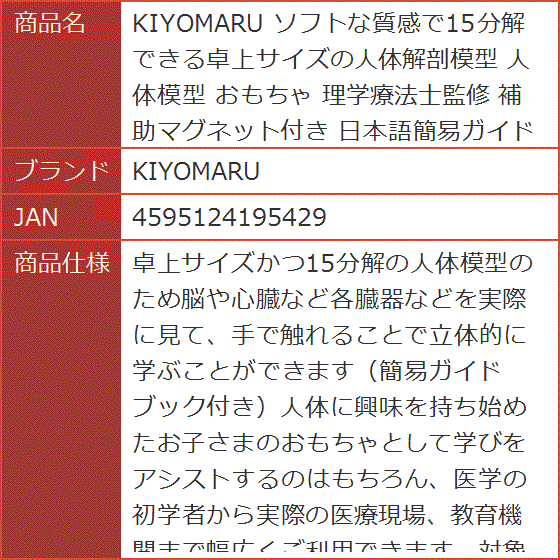 ソフトな質感で15分解できる卓上サイズの人体解剖模型 人体模型