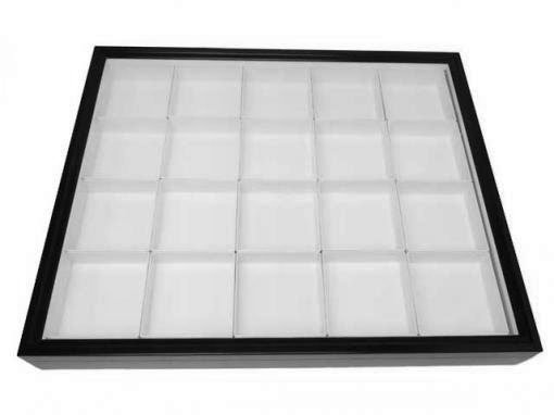 桐製標本箱：小型（ガラス蓋） : インセクテック・ドット・コム - 通販