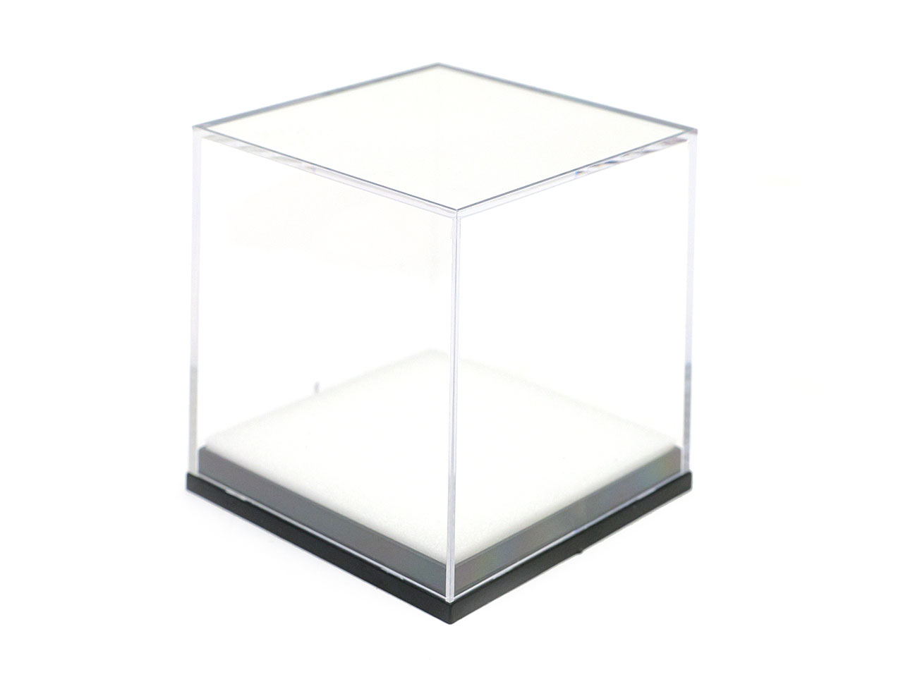 大型ドイツ型標本箱（黒） : インセクテック・ドット・コム - 通販