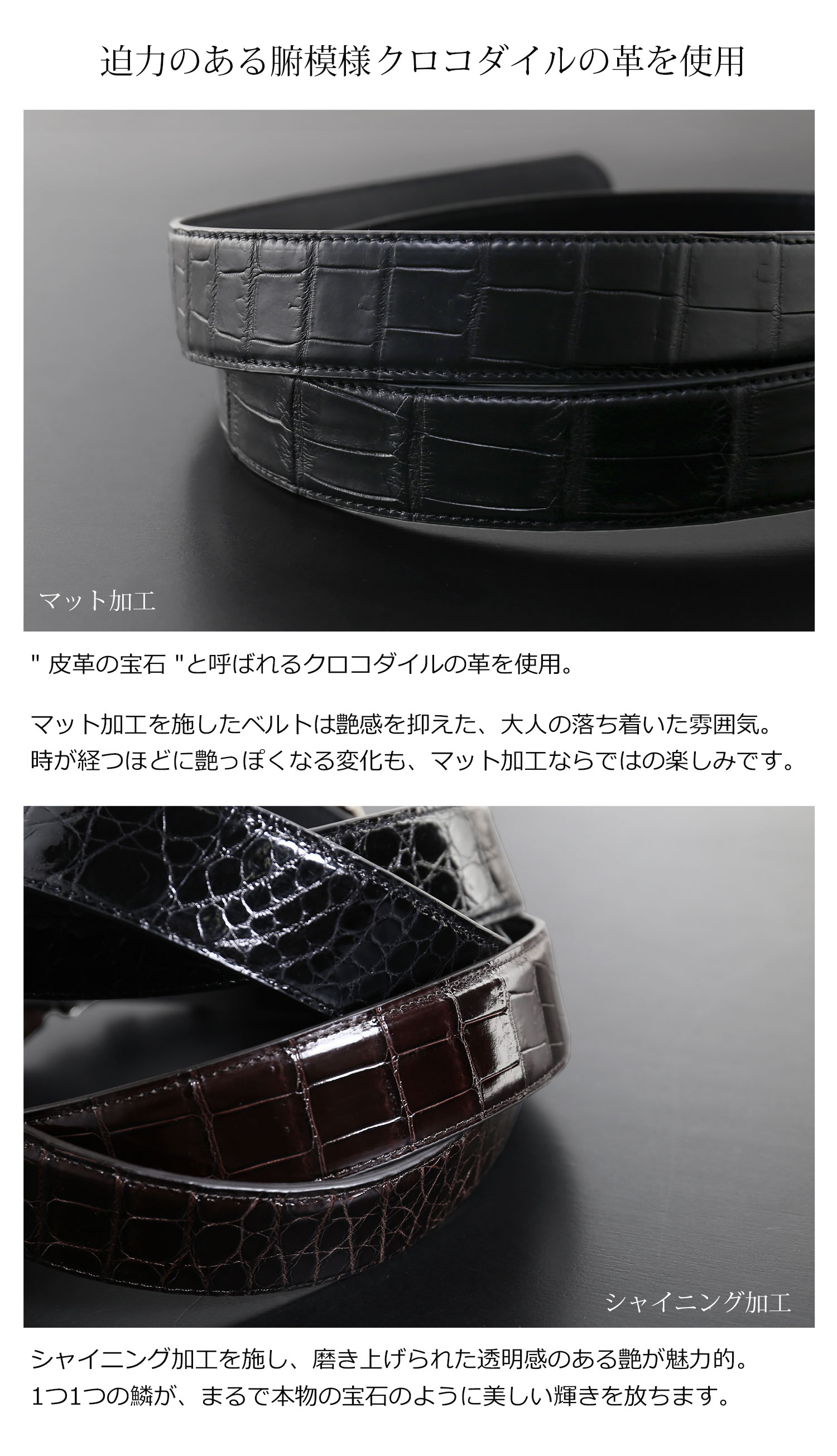 sankyo shokai（三京商会） ＜爆買＞メンズ ベルト クロコダイル