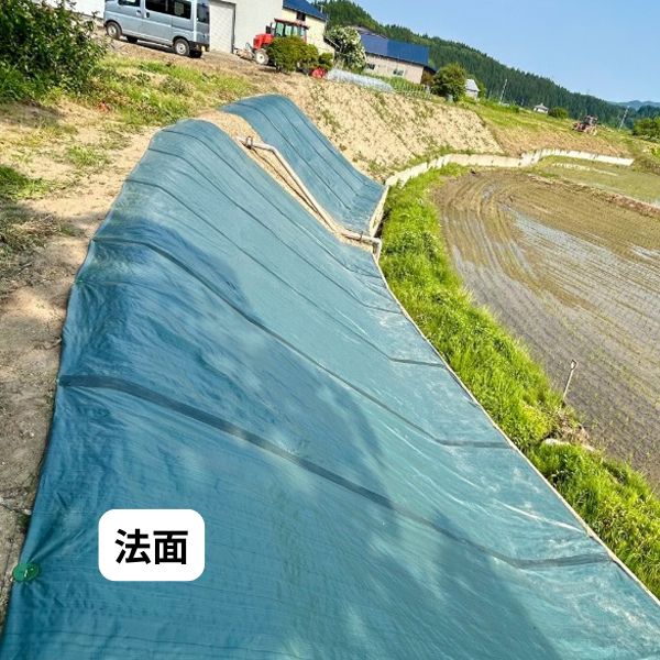 防草シート 密度135G 1m×100m グリーン UV剤入 抗菌剤入 135g平米 農用