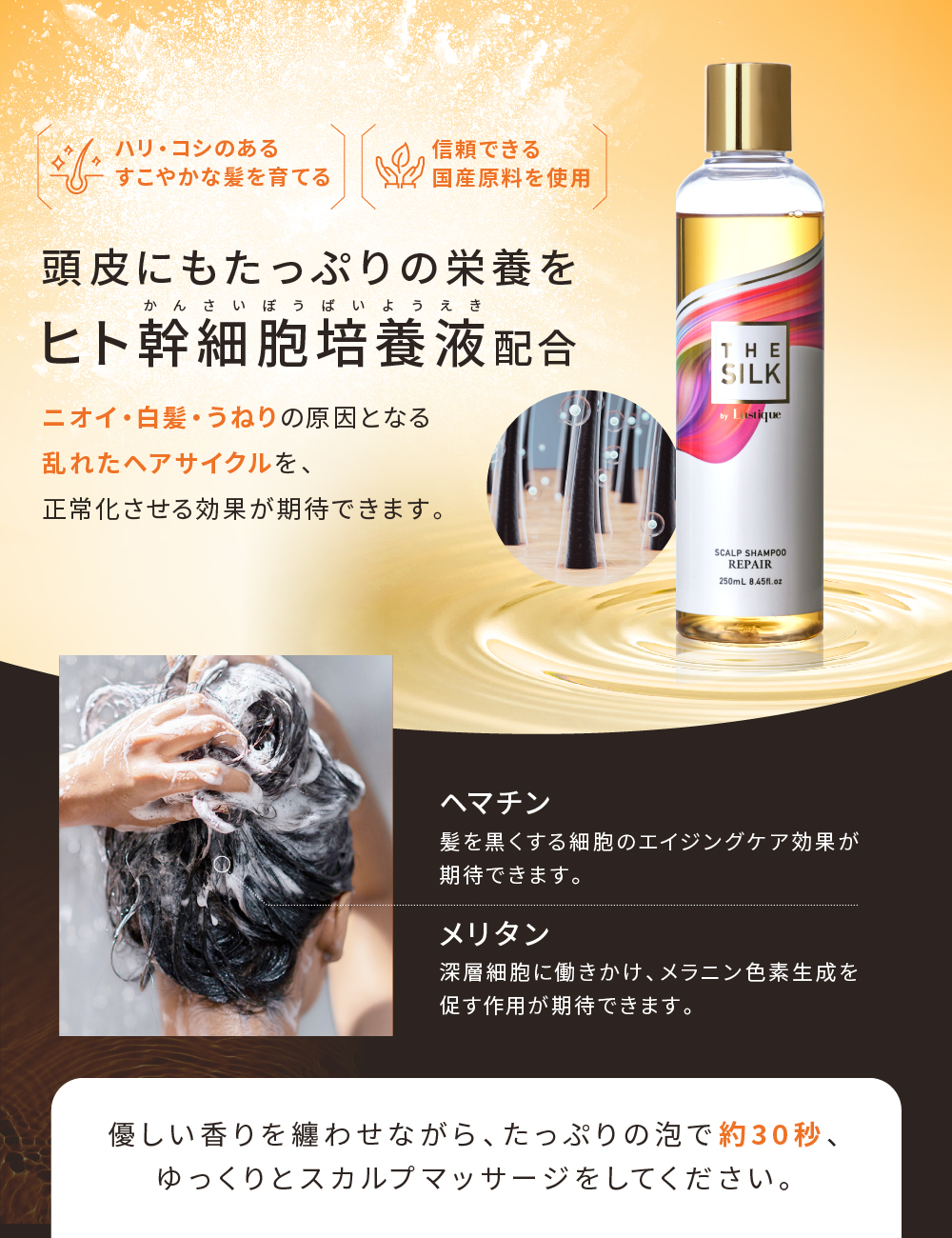 THE SILK（ザ シルク） ＼ポイント+10%／ THE SILK シャンプー