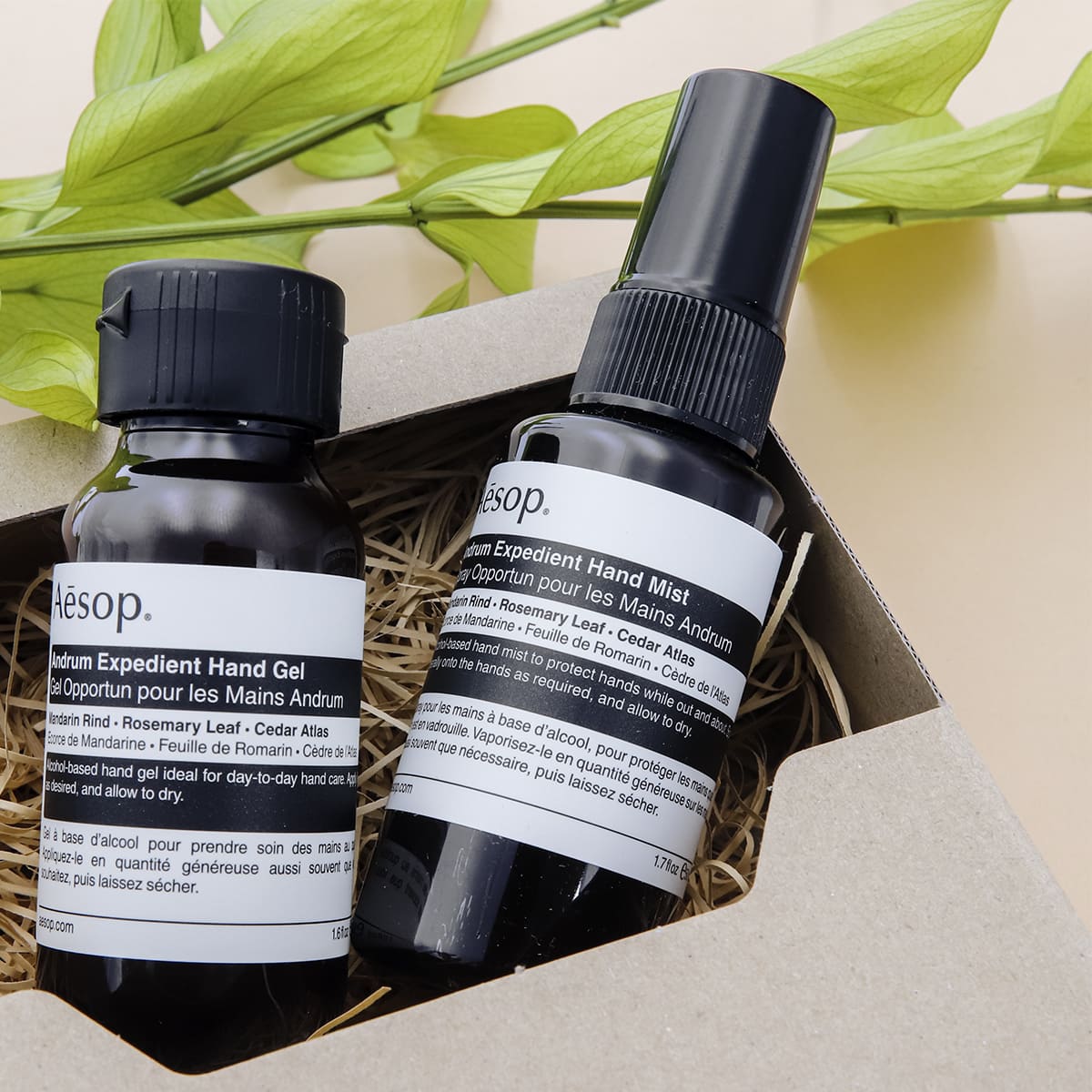 Aesop（イソップ） ハンドソープ ハンドジェル セット ハンド