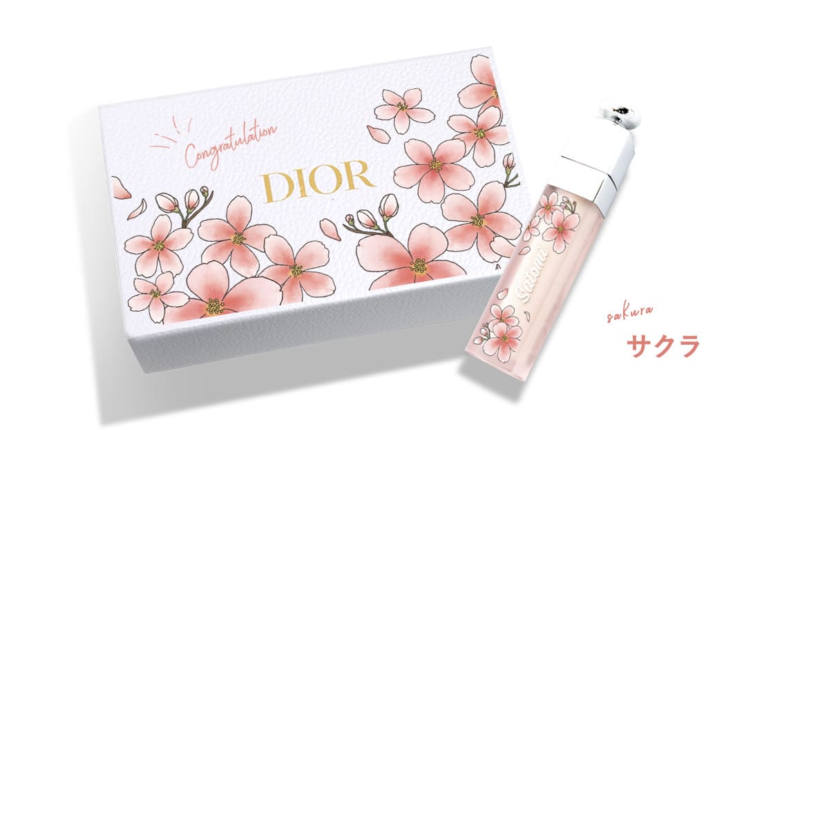 ディオール リップ ハンドクリーム ギフトセット Dior 正規品