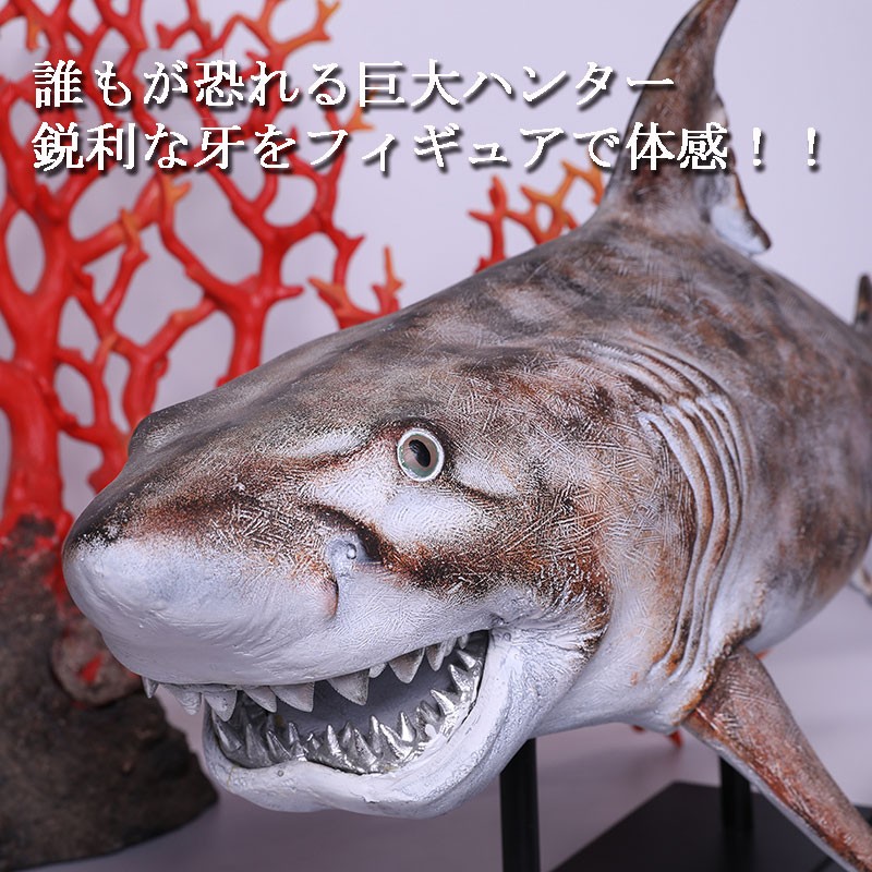 予約販売］【関東限定送料無料】大型 メガ・シャック フィギュア 長さ