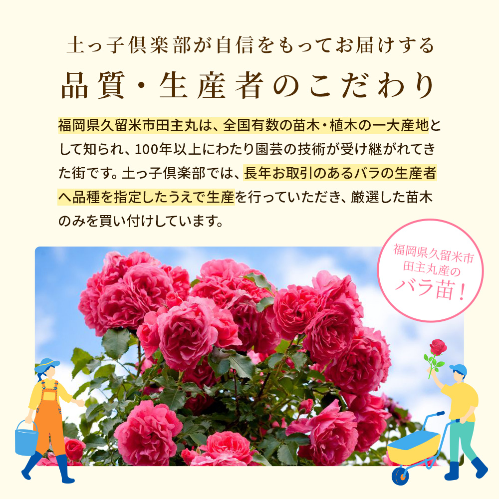 PP-「P」 4枚セット バラ売り可 概要欄 PP-「P」 4枚セット バラ売り可