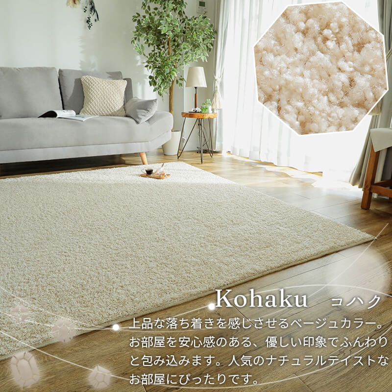 グラムスタイル カラー限定特価 ラグ カーペット 絨毯 洗える 3畳 190