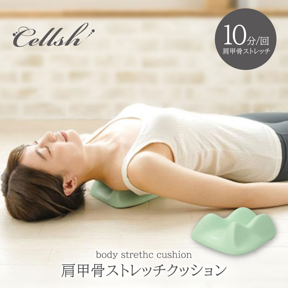 ニーズ セルシュ 肩甲骨 ストレッチ クッション 背中 解消グッズ