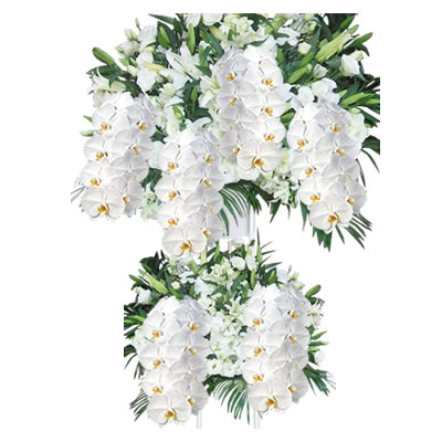 胡蝶蘭付きスタンド花(2段) 花色選べる5色 50000円(税別) 180cm位 設置