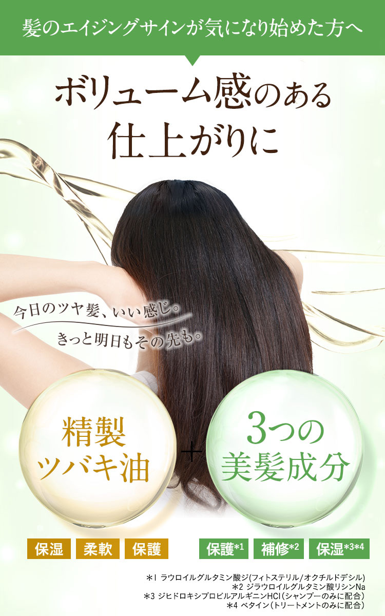 大島椿 エクセレントシャンプー ( 300ml )/ 大島椿シリーズ パサツキ