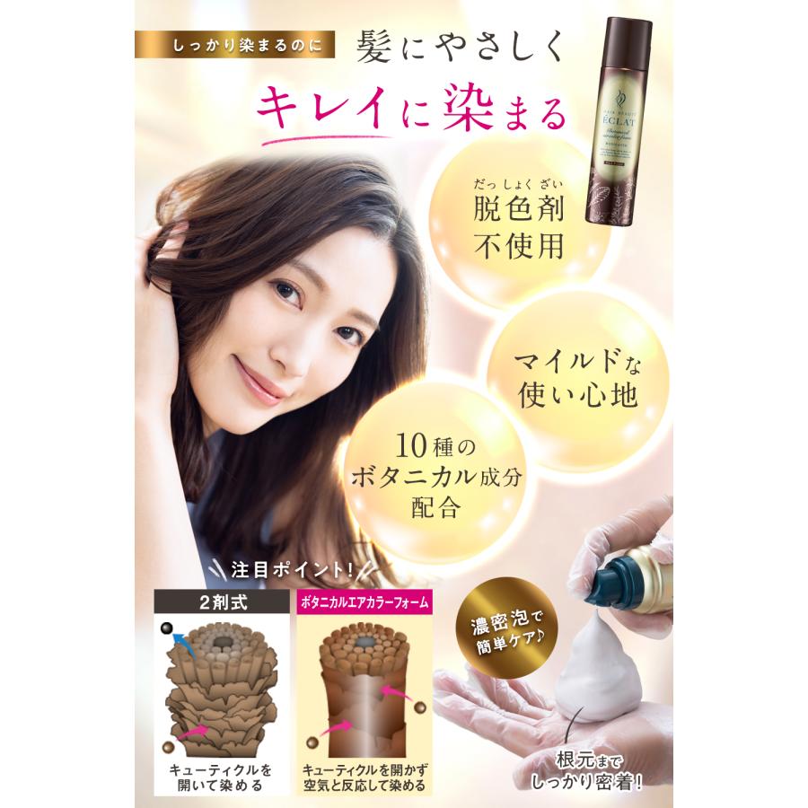 HAIR BEAUTE ECLAT リタッチ 全体染め 部分染め ヘアカラー 医薬部外品
