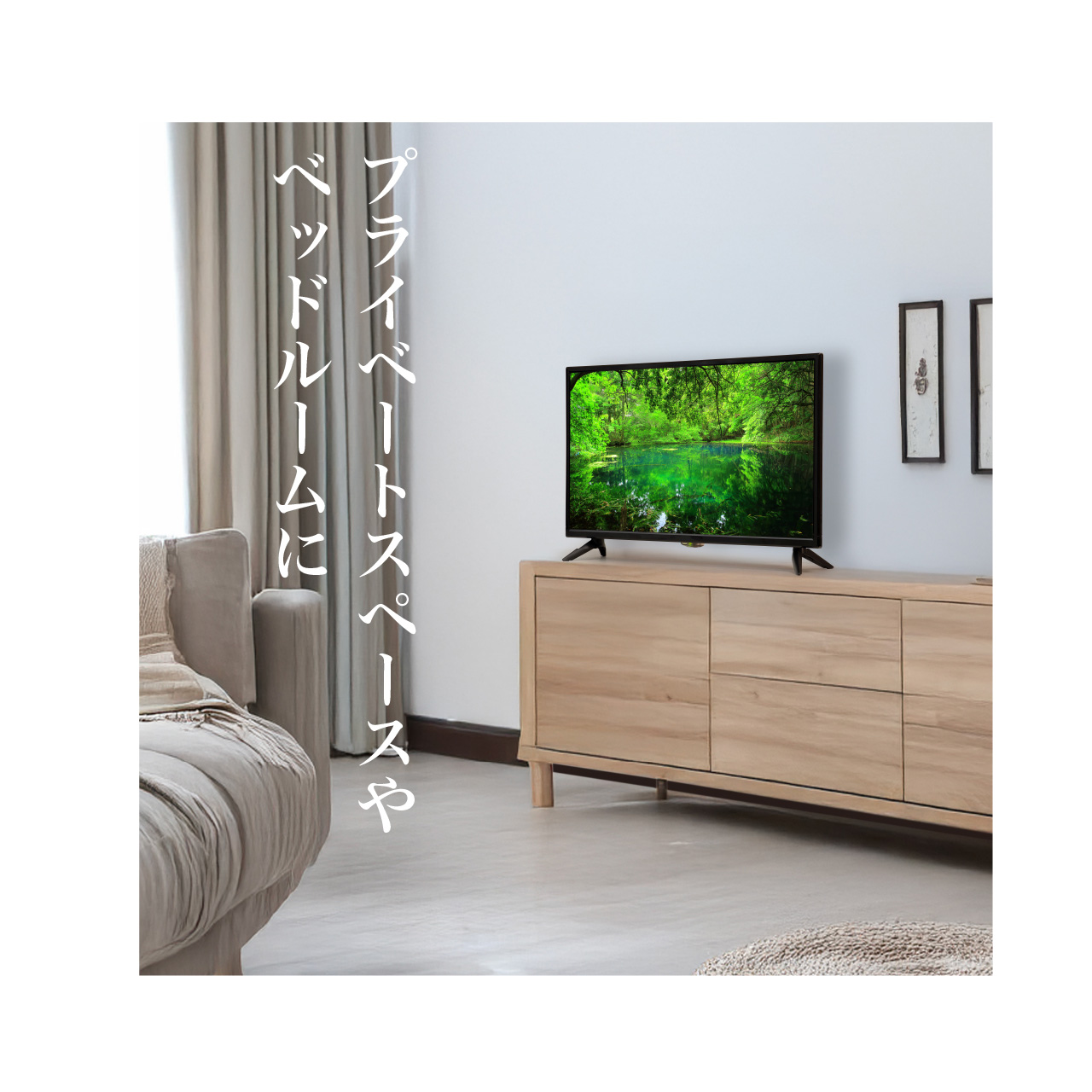 ティーズネットワーク TEES 24V型 ハイビジョン3波(地デジ/BS/CS)液晶