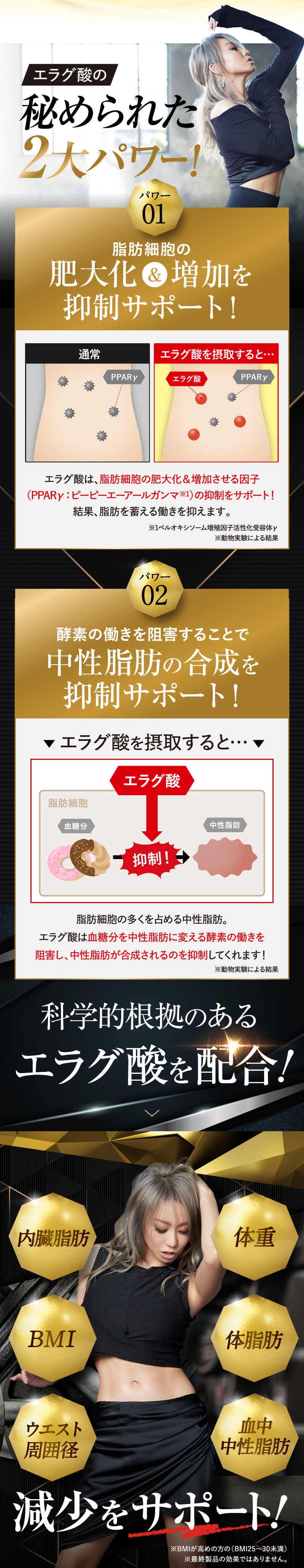 公式_正規販売店】3個セット キラーバーナー II ダイエットサプリ 倖田