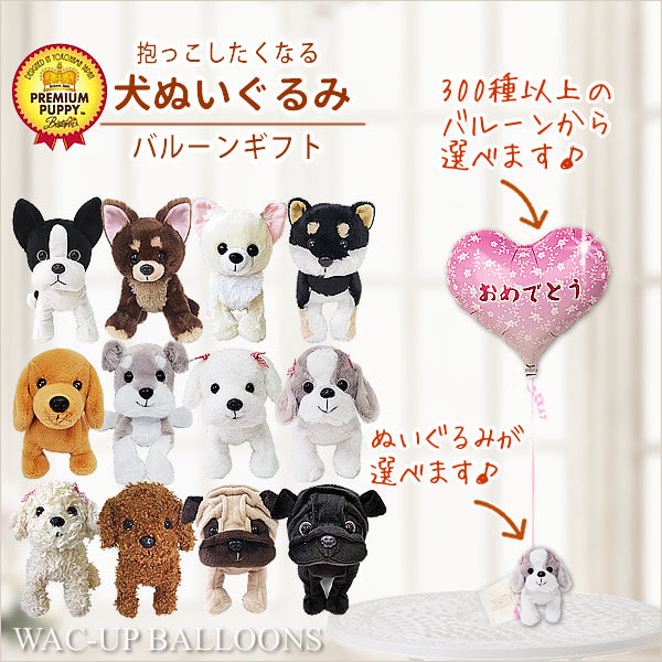 パグ チワワ シュナウザー 柴犬 トイプードル ダックス マルチーズ