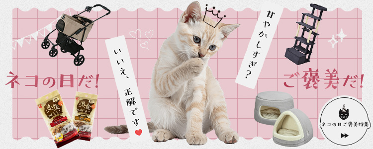 IRIS OHYAMA（アイリスオーヤマ） ビーフジャーキーチーズ 800g BS