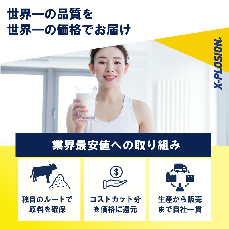 エクスプロージョン（X-PLOSION） WPC 3kg 甘さゼロココア味 100