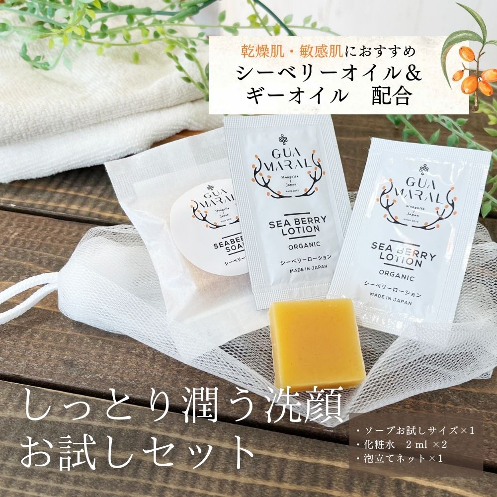 お試しソープ+ローションサンプル2個セット】ギー入り石けん